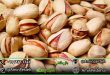 قیمت پسته کله قوچی سبزوار