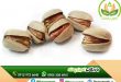 فروش عمده پسته کله قوچی